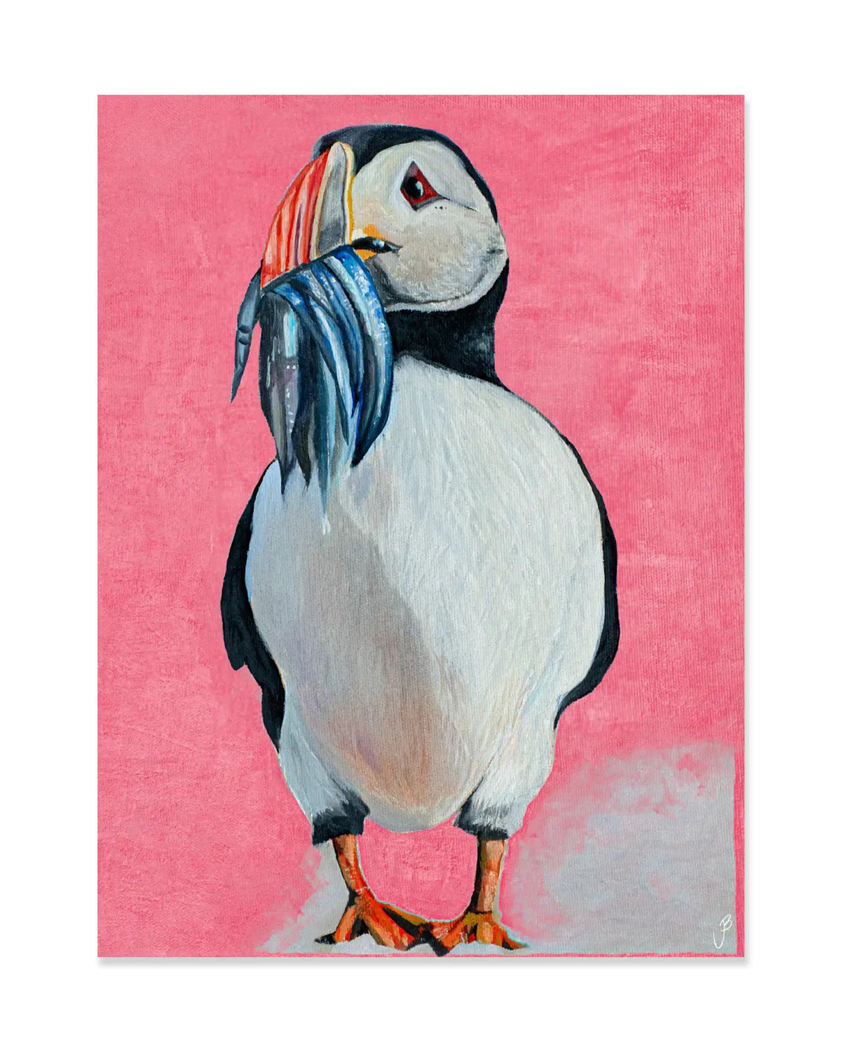 Pink Puffin Poster (V4) - JóiB