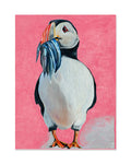 Pink Puffin Postcard (P4) - JóiB