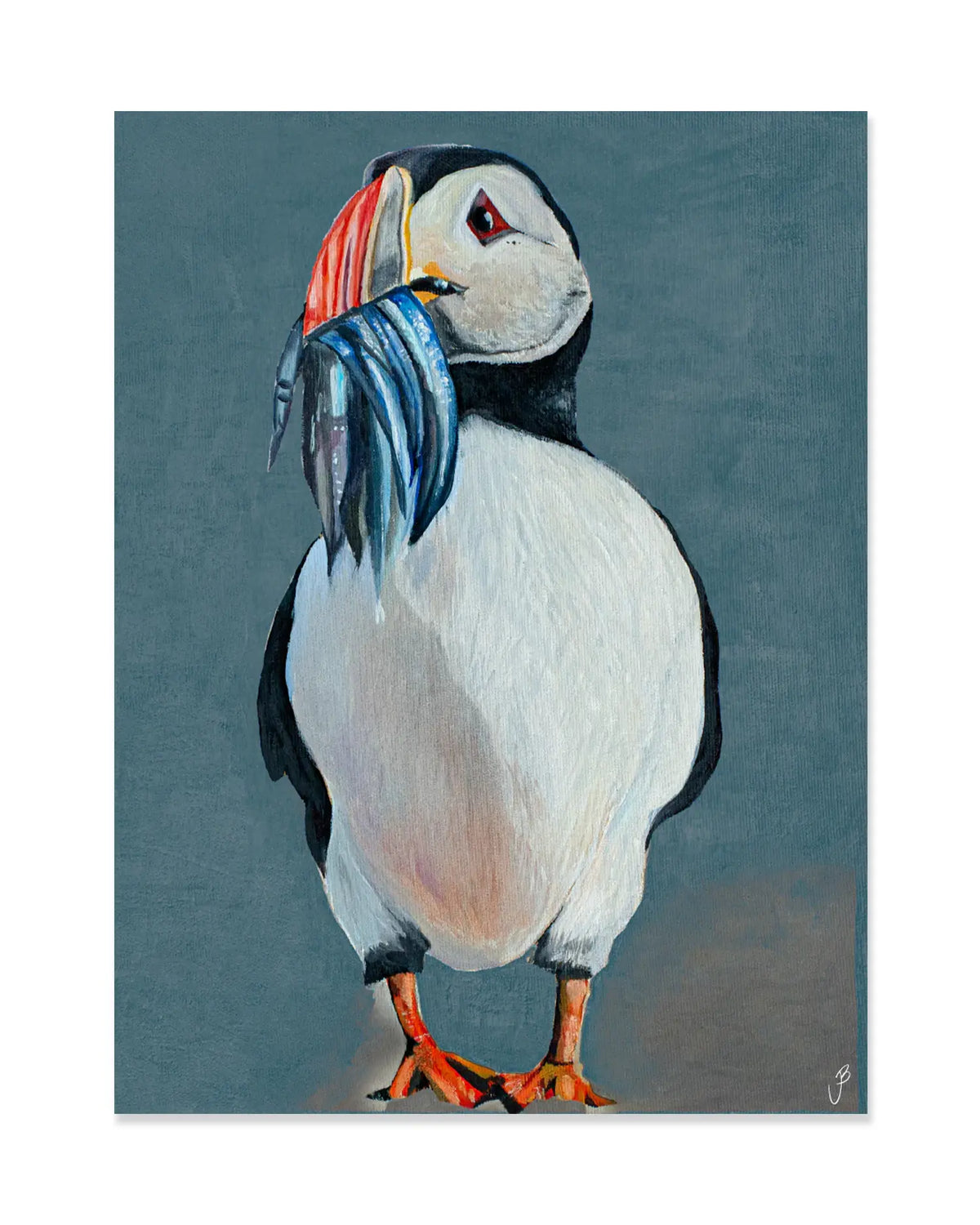 Dark Blue Puffin Postcard (P2) - JóiB